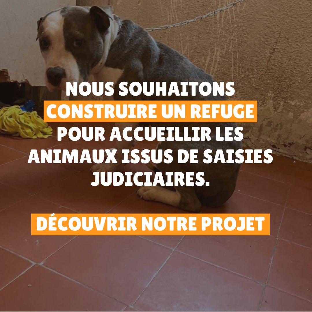 Découvrez notre grand projet 2027